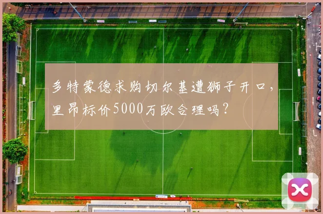 多特蒙德求购切尔基遭狮子开口，里昂标价5000万欧合理吗？